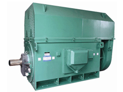 YKK5002-6/630KWYKK系列高压电机