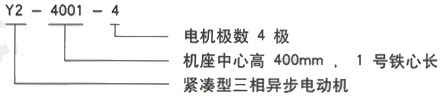 YR系列(H355-1000)高压YKK5002-6/630KW三相异步电机西安西玛电机型号说明